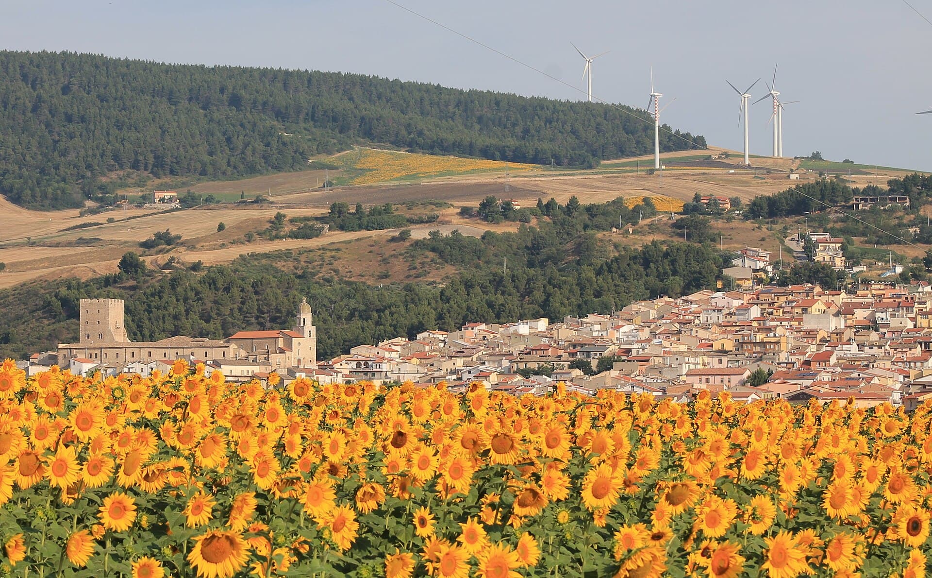 Il borgo di Pietramontecorvino con la torre, tra i campi di girasoli dei Monti Dauni