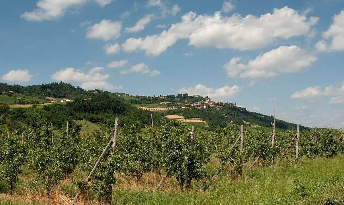 Il castello di Guarene sul crinale, tra le colline del Roero