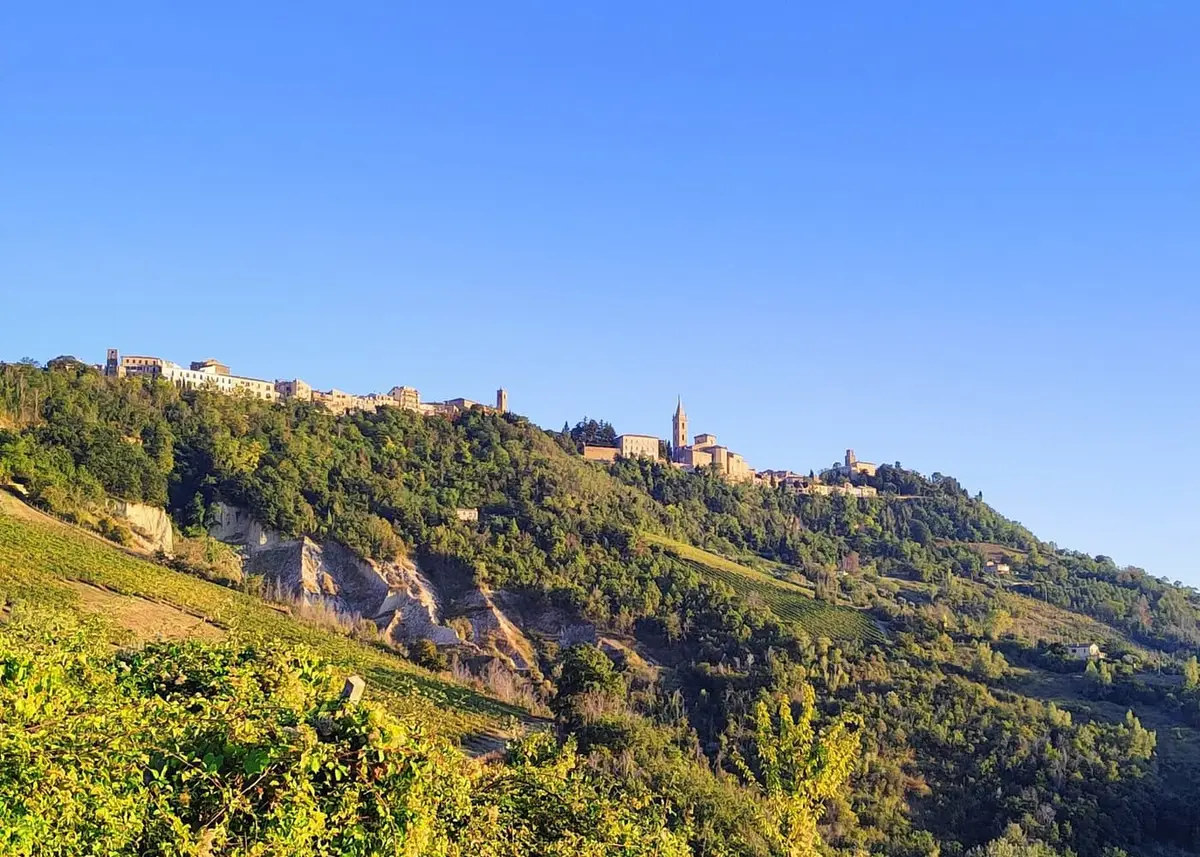 Ripatransone sul crinale, tra i vigneti del Piceno